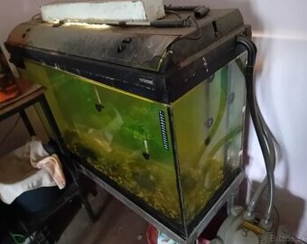 Aquarium, rybyčky ,ryby akvarium