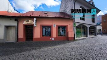 RODINNÝ DOM PRIAMO V CENTRE MESTA, PODLAHOVÁ PLOCHA 248m2, Ž