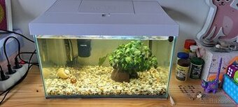 Kompletné akvárium 25 l s rybičkami a slimákmi – 30 € (Spišs