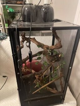 Terárium pre chameleóna