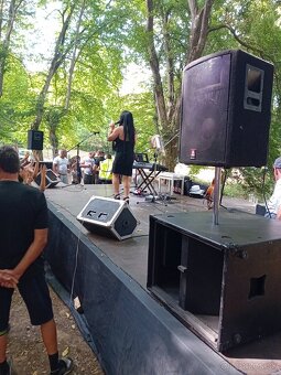 Sub basy 18 zoll 8 ohm 1200 w