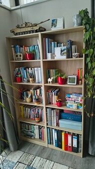 Knižnica 188×60×28cm s veľkorysými rozostupmi medzi policami