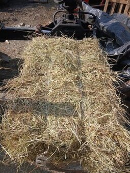 Predám malé hranaté baliký sena.