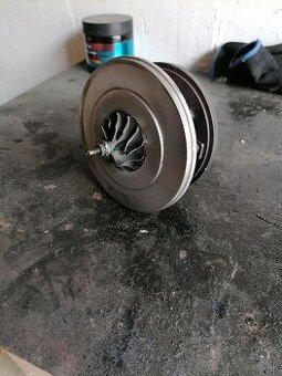 Kostra turba