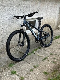 Specialized rockhopper