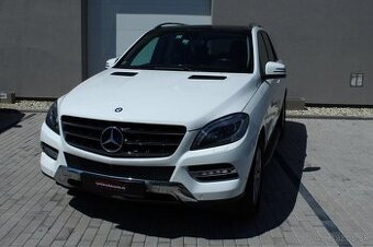 Mercedes ML250 CDI 4 matic