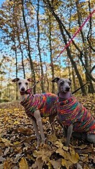 Svetríky a vestičky pre psikov