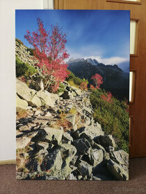 Fotoobraz na plátne 80x120cm, Jeseň na Tatranskej magistrále