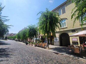 Mezonetový byt na Mierovom námestí pod hradom, Trenčín