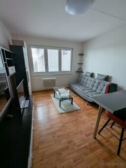 1,5 Izbový byt pri Spoločenskom Pavilóne