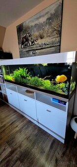 Predám 400l akvárium 180cm komplet + Eheim filter + CO2