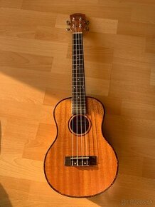CASCHA ukulele