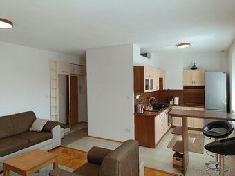 Prenájom- 2 izbový byt v centre mesta