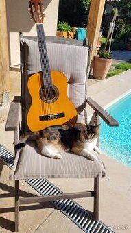 Detská gitara