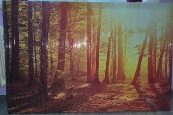 Obraz 100x150cm
