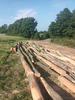 Predam palivove drevo buk,dub-metrovicu - 1