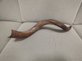 Shofar