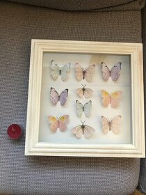 Box Frame s umelými motýľmi