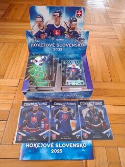 Hokejové Slovensko 2024 a 2025