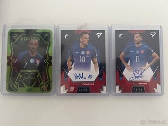 Slovenski sokoli 2024