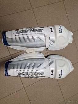 Hokejove holene Bauer