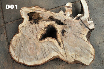 Unikátne priečne rezy/koláče DUB - vzduchosuché - ťažba 2019