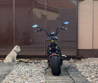 Motorka bez vodičáku - Citycoco