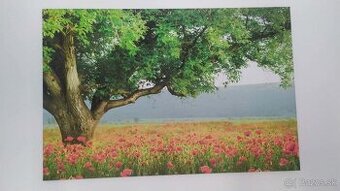 Krásny veľký obraz