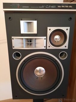 Pioneer CS 603