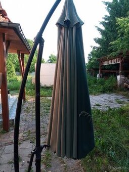Slnečník