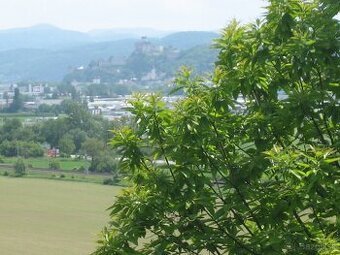 Pozemok na rekreačné účely - 1