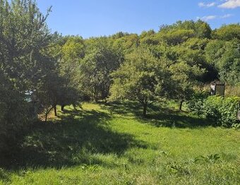 Záhrada v záhradkárskej lokalite Čičky-Majer, Košice