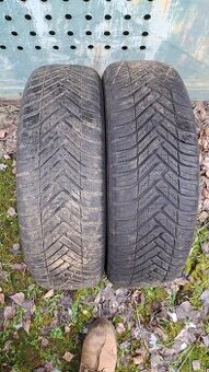 175/65R14  2ks Celoročné