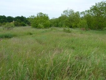 Predaj, pozemok, Marcelová - 1