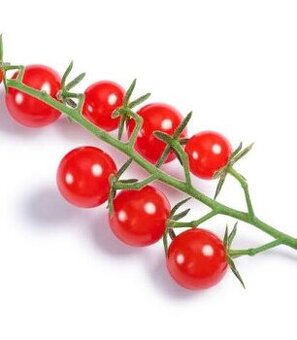 Priesady divokych rajcin