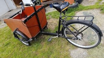 Holandsky rodinny bicykel