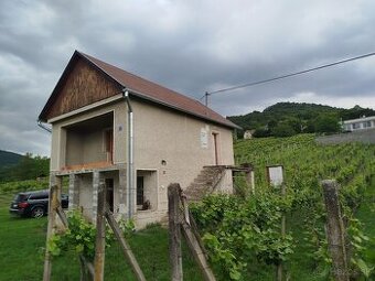 Vinný domček s vinicou – Vinica, miesto s dušou a tradíciou