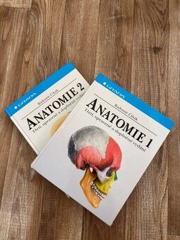Anatomia Čihák 1,2