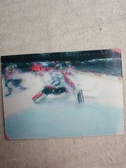 Patrick Roy