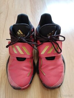 Adidas botasky