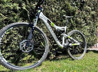 Cannondale ´29 L