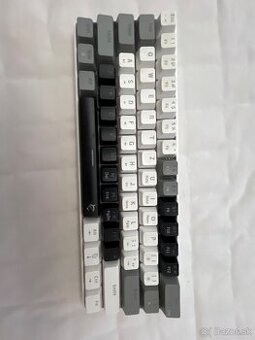 White Shark Shinobi