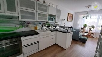 HALO reality - Predaj, jednoizbový byt Senec, záhrada 97m2, - 1