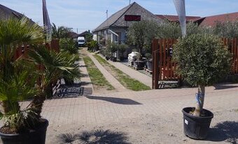 Hľadáme stabilného kolegu do Stredomorského záhradného centr