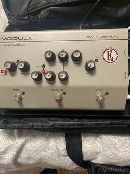 Predam preamp EDEN TERANIVA