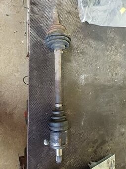 Kratka poloos felicia