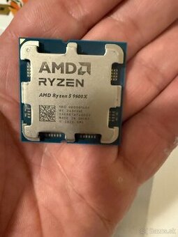 AMD Ryzen 5 9600X