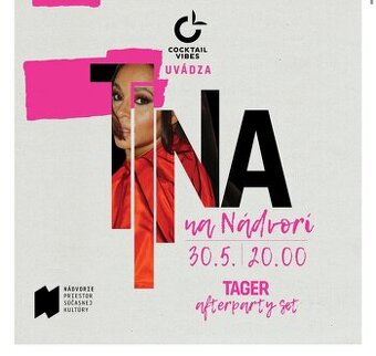 Vstupenka Tina na nádvorí