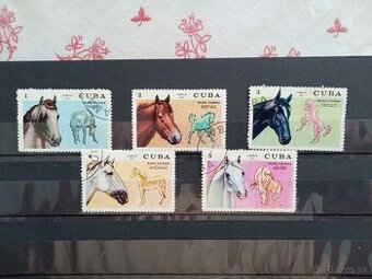 Poštové známky č.938 - Kuba - kone
