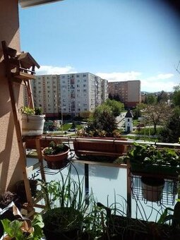 Exkluzívna ponuka: 2-izb byt na prenájom - firmy a robotníci